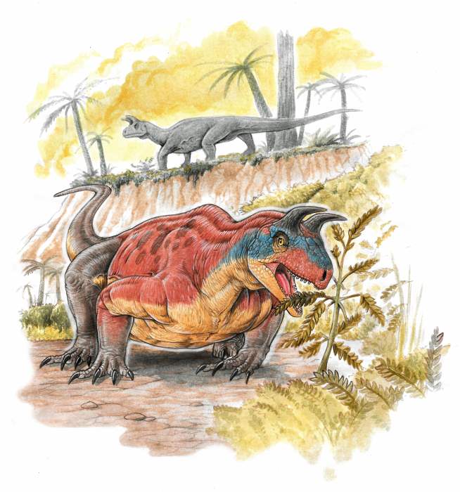 ISI Kolkata discovers reptiles with horns that came 100 million years before  dinosaurs | Science Chronicle