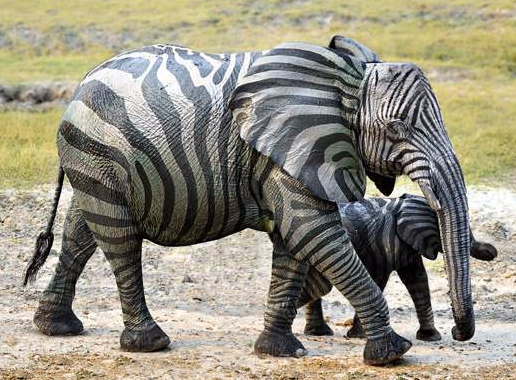Elephant with stripes-Optimized